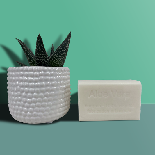 Savon au Lait d'Ânesse Bio Aloe Vera
